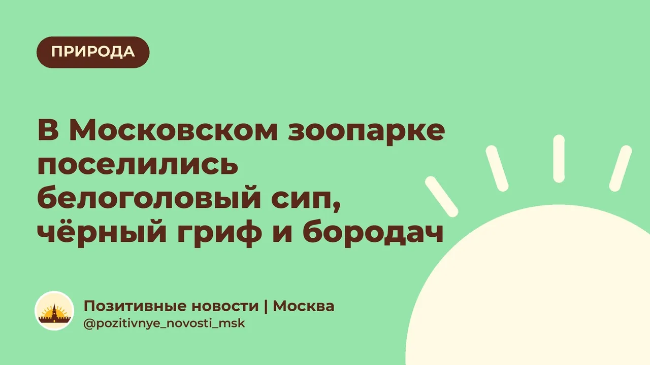 В Московском зоопарке поселились белоголовый сип, чёрный гриф и бородач