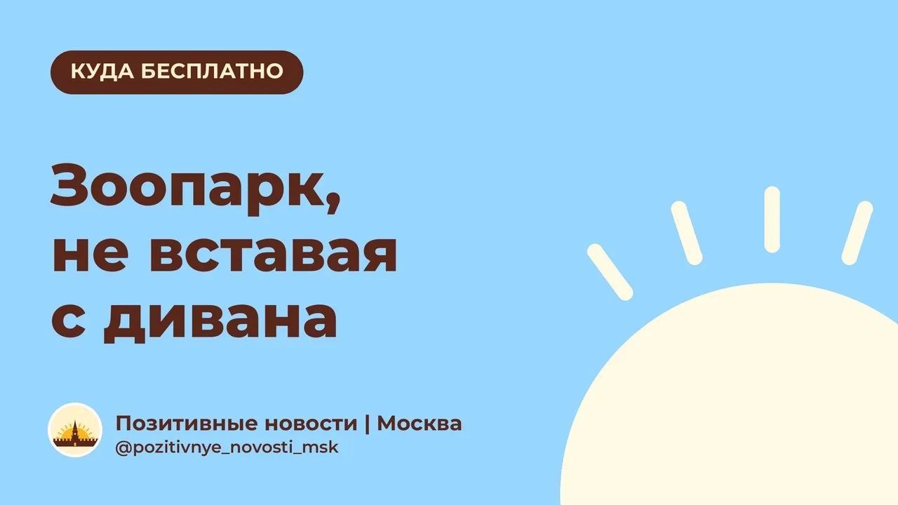 Зоопарк, не вставая с дивана