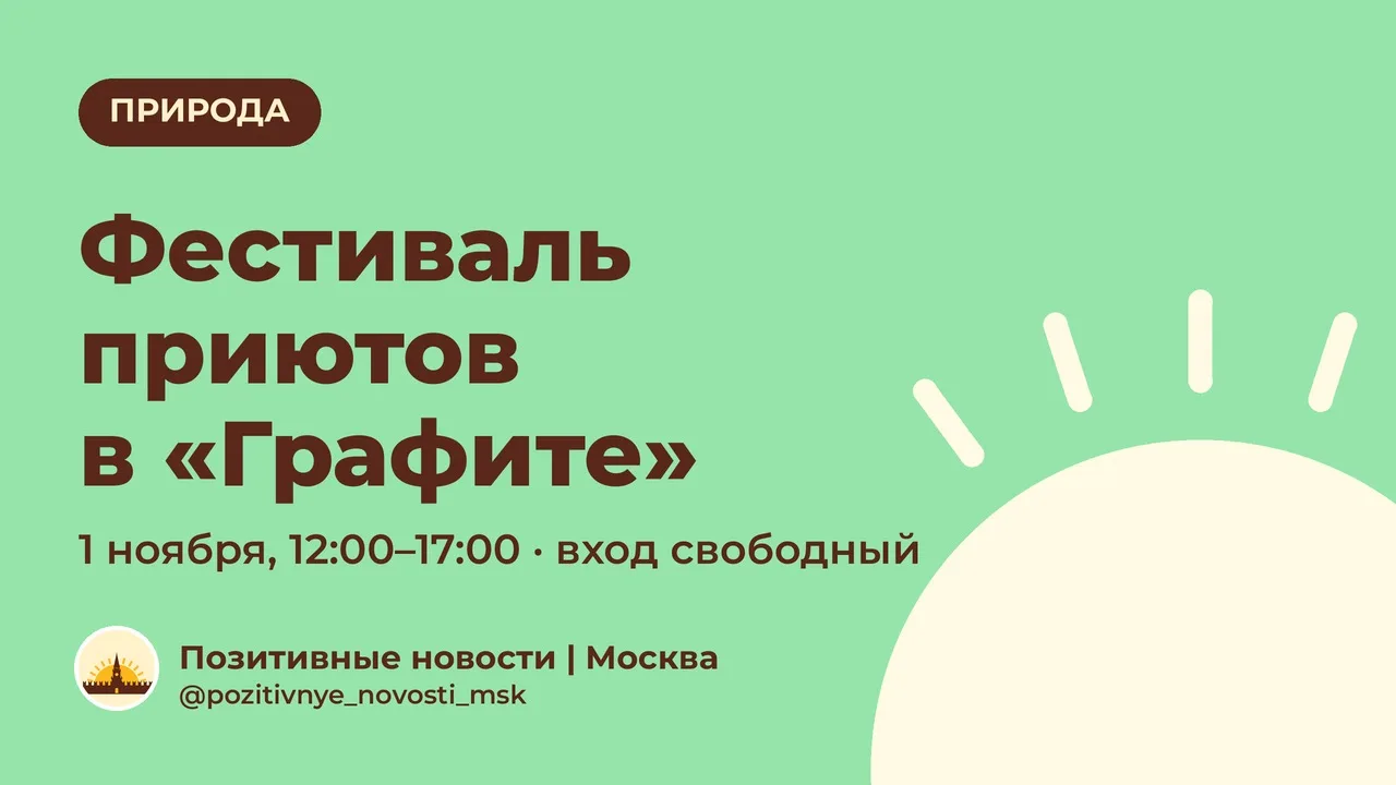 Фестиваль «Собаки, которые любят… и котики!»