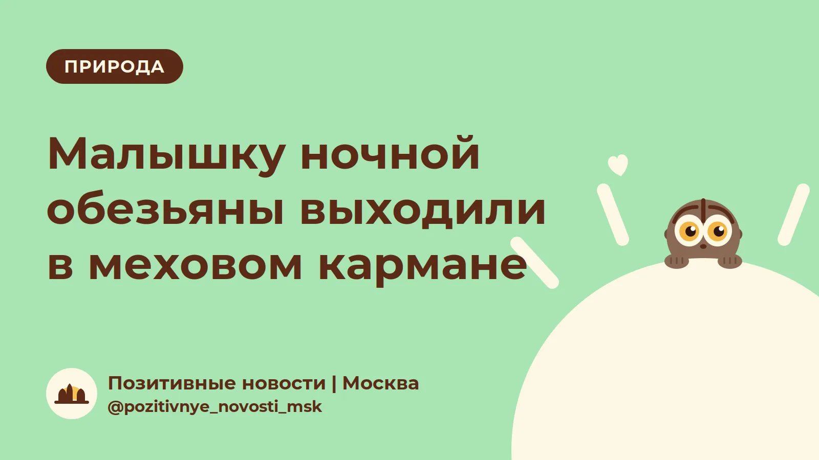 Маленькую обезьянку бросила мама, и её выходили сотрудники Московского зоопарка