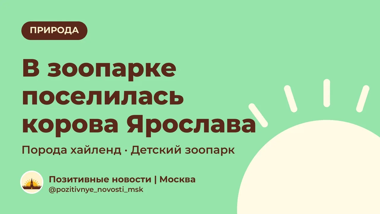 В Московском зоопарке поселилась корова Ярослава