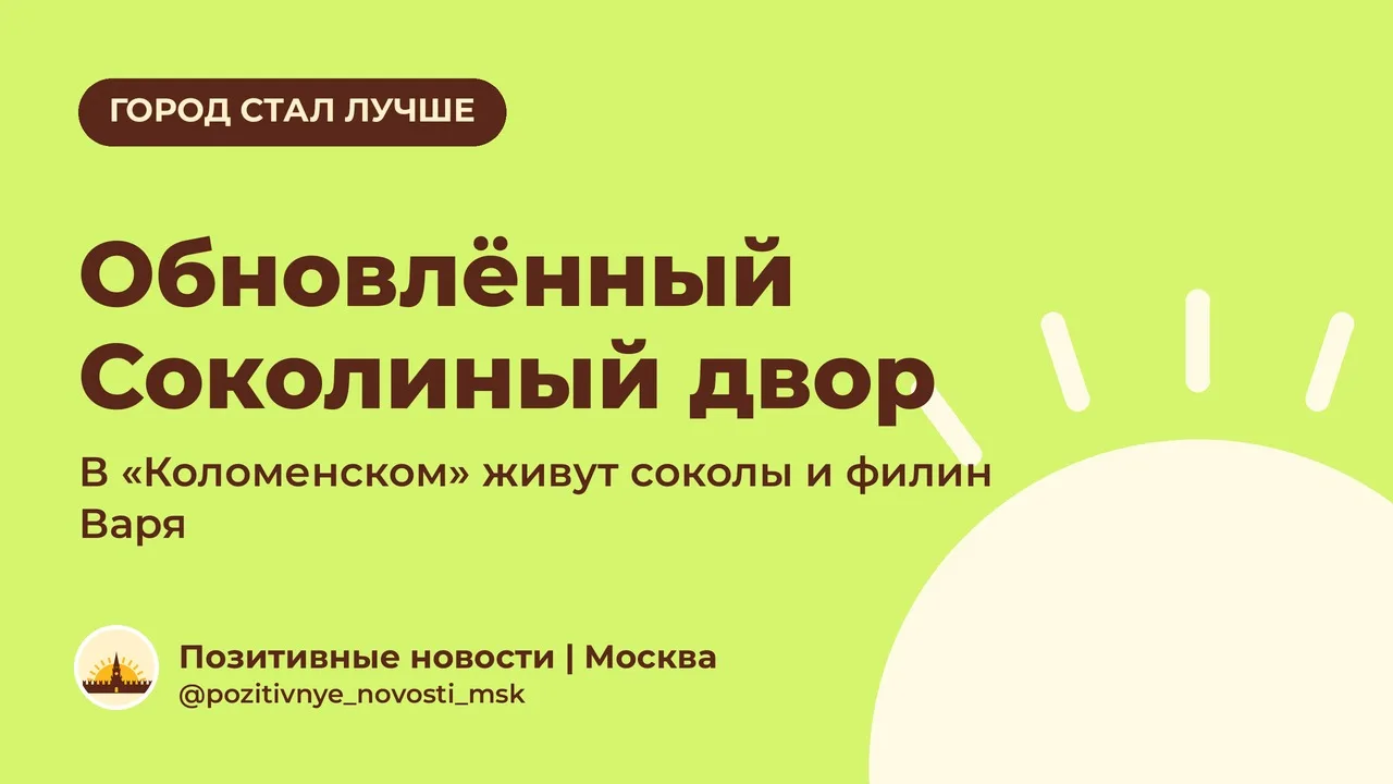 В «Коломенском» обновили Соколиный двор!