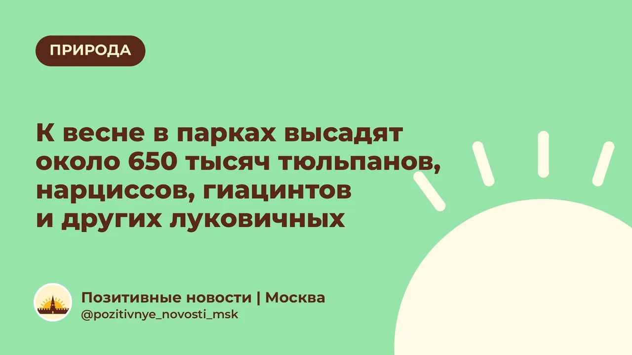 К весне в парках высадят около 650 тысяч тюльпанов, нарциссов, гиацинтов и других луковичных